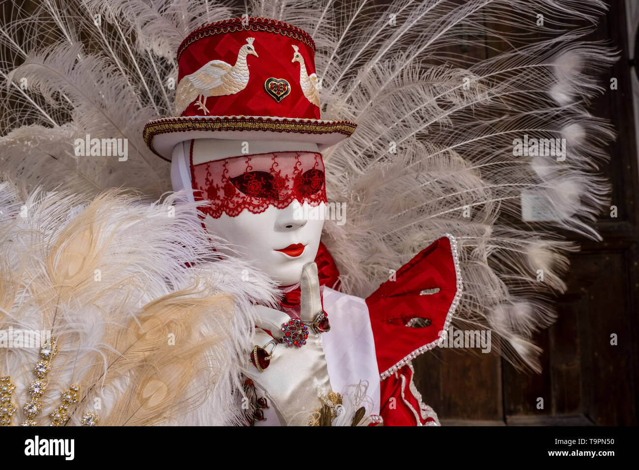 Ritratto di un feminin persona mascherata in un bellissimo costume di creative, ponendo a portici di Piazza San Marco, Piazza San Marco Foto Stock