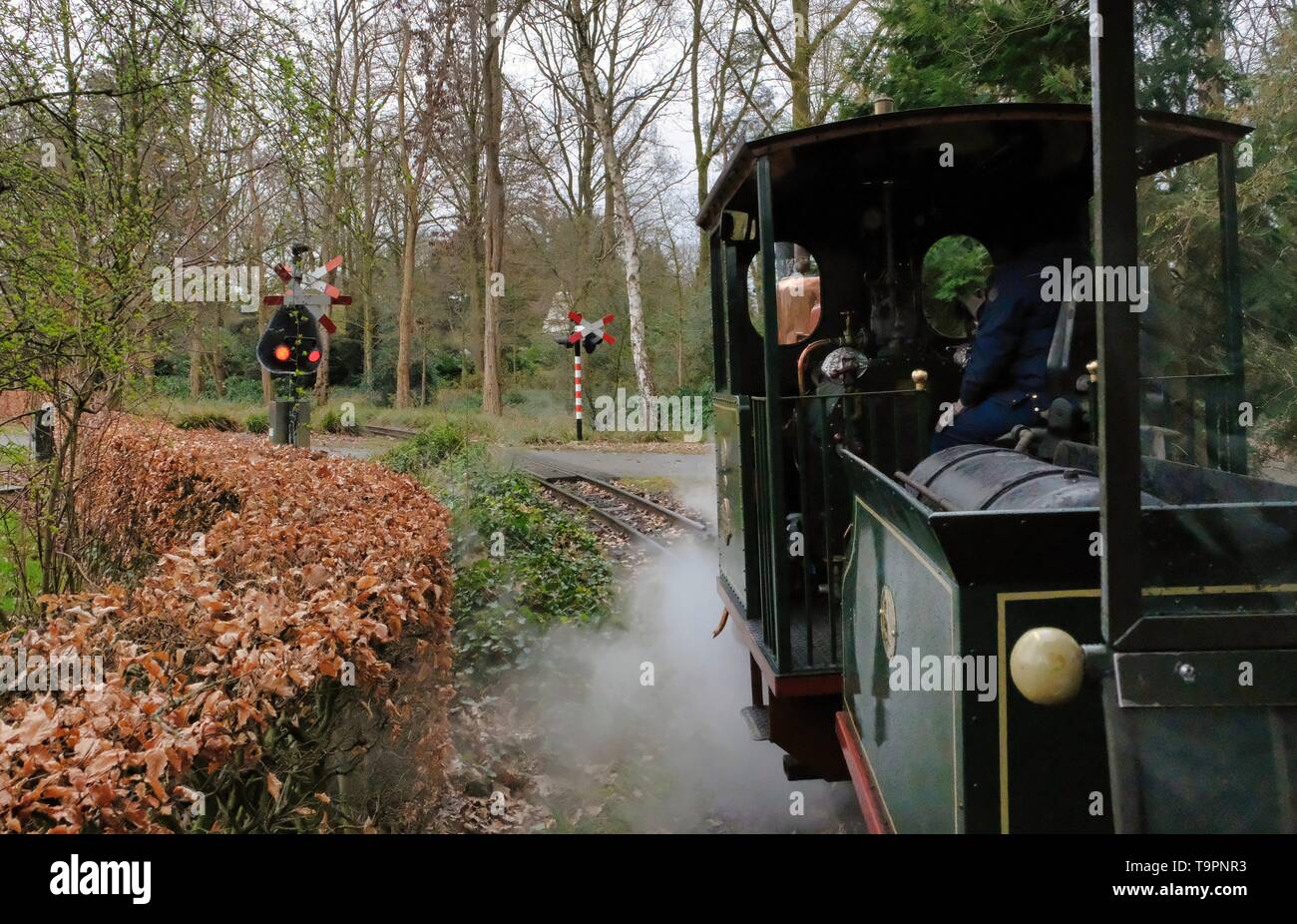 Treno a vapore attraverso il parco dei divertimenti Efteling nei Paesi Bassi, Duiksehoef, Kaatsheuvel, Paesi Bassi Foto Stock