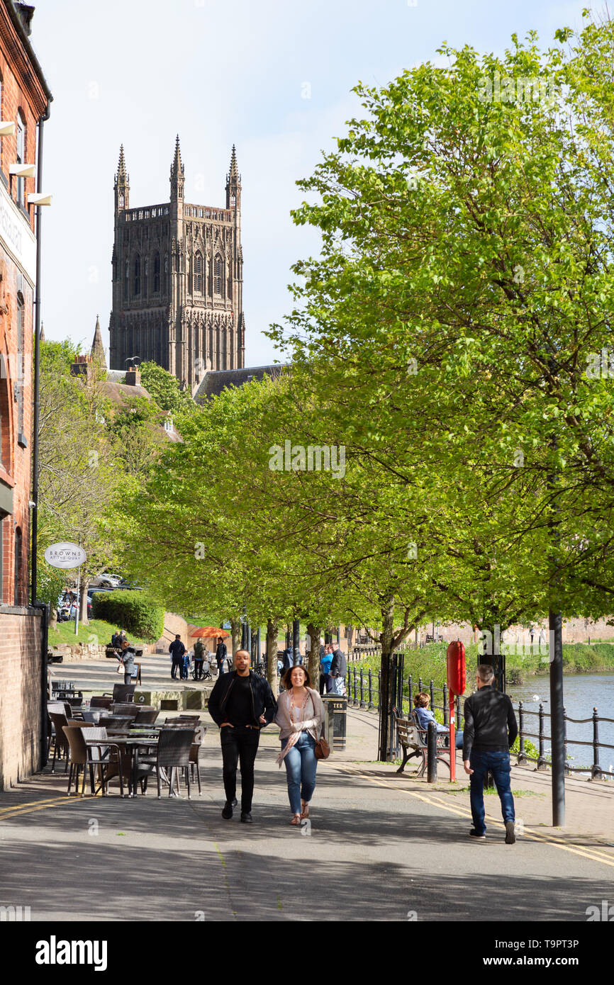 Worcester UK - La gente camminare lungo South Quay accanto al fiume Severn e cattedrale di Worcester in primavera, Worcester Worcestershire Inghilterra REGNO UNITO Foto Stock