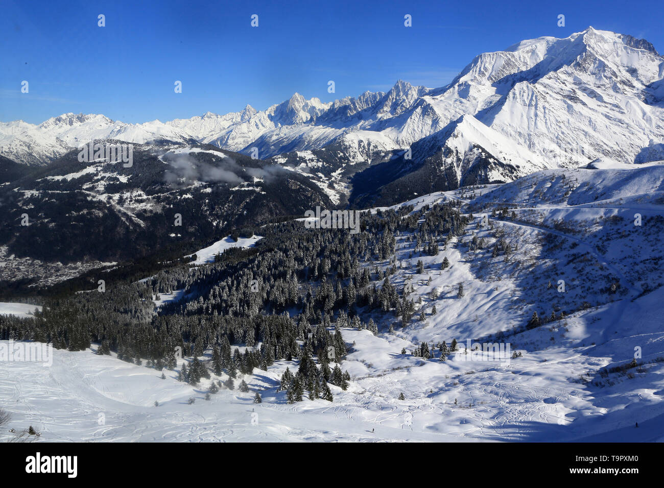 Massif du Mont-Blanc. Alta Savoia. La Francia. Foto Stock