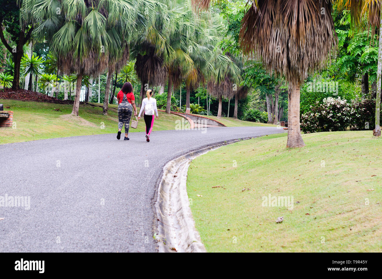 Le giovani donne da 20 a 25 anni di età hanno camminato in park per una vita sana su un lastricato e strada curva circondato dalla natura Foto Stock