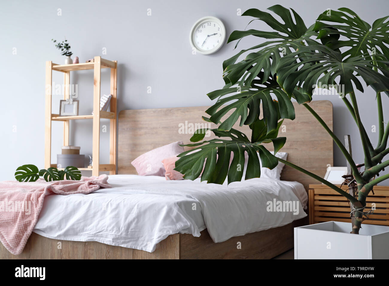 Verde di piante tropicali a interno della camera da letto Foto Stock