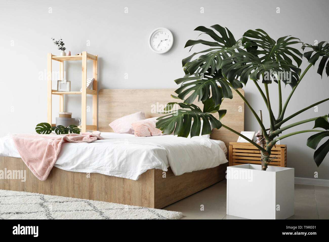 Verde di piante tropicali a interno della camera da letto Foto Stock