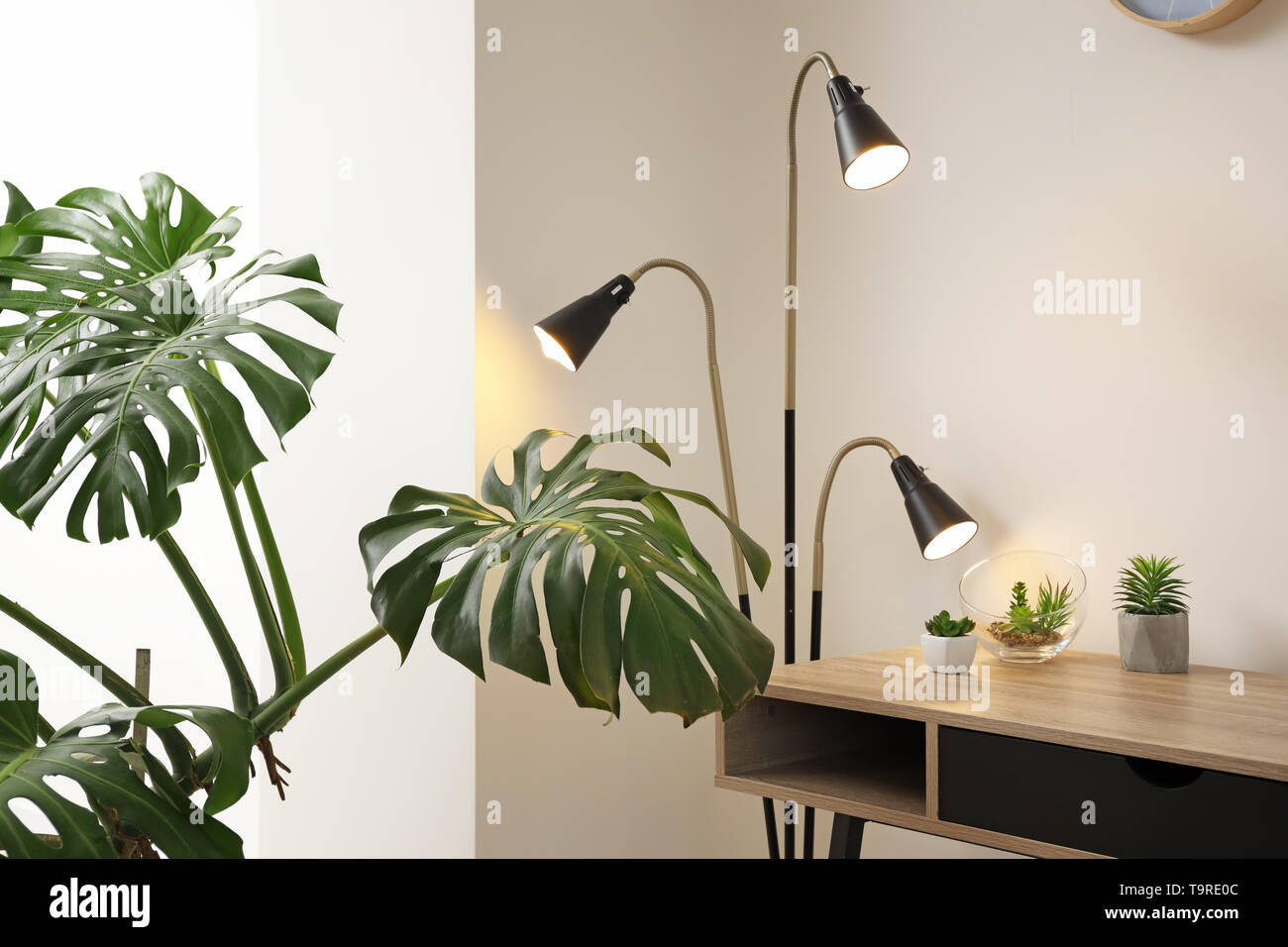 Verde di piante tropicali a interno della camera Foto Stock