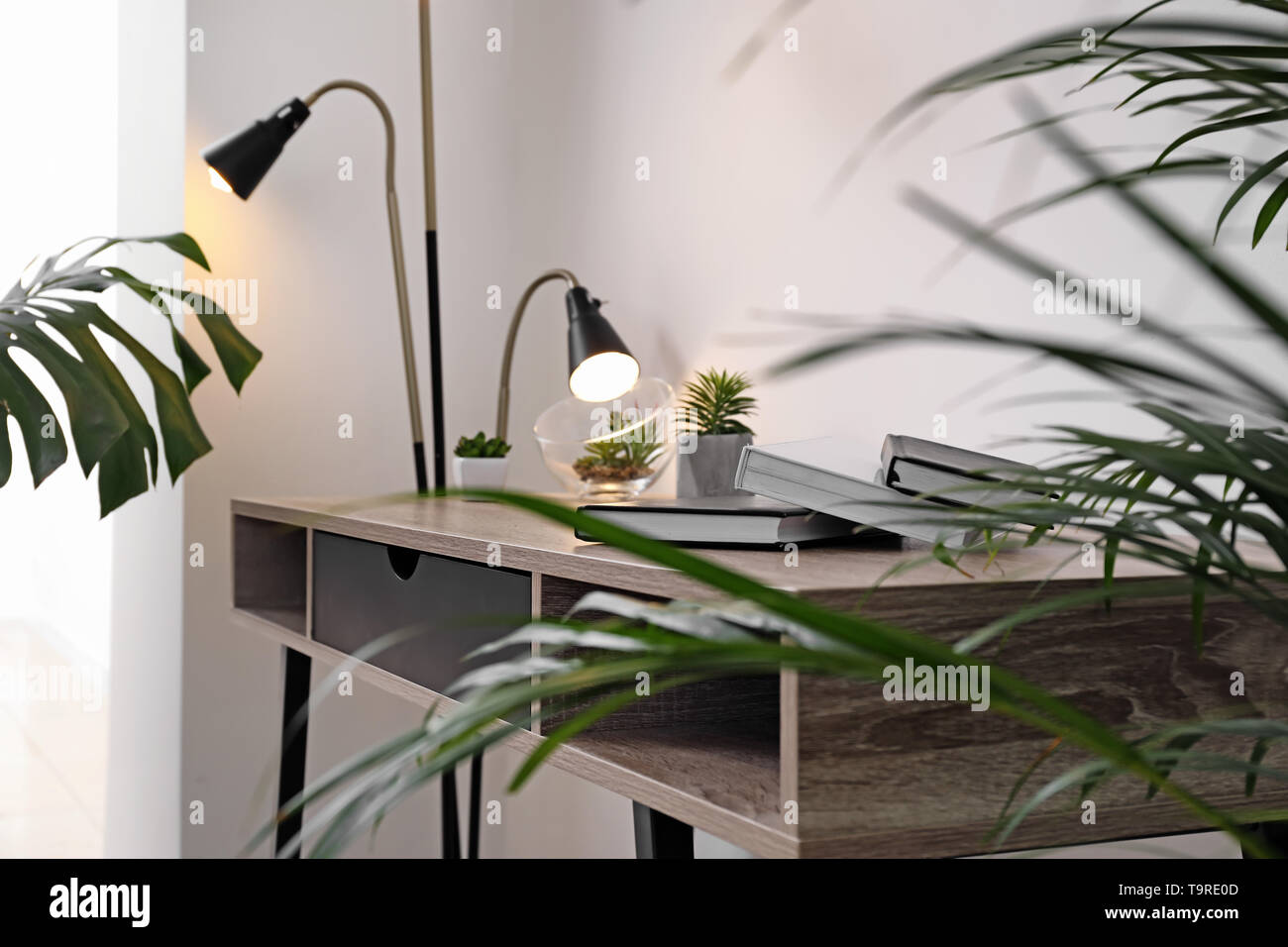 Verde foglie tropicali nell'interno della camera Foto Stock