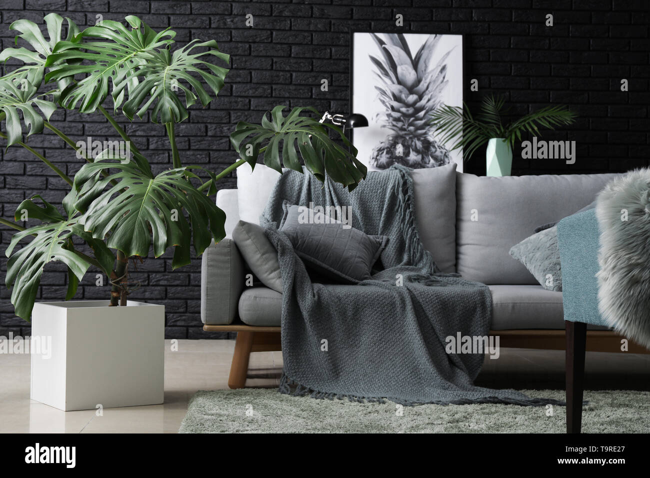 Verde di piante tropicali a interno della camera Foto Stock