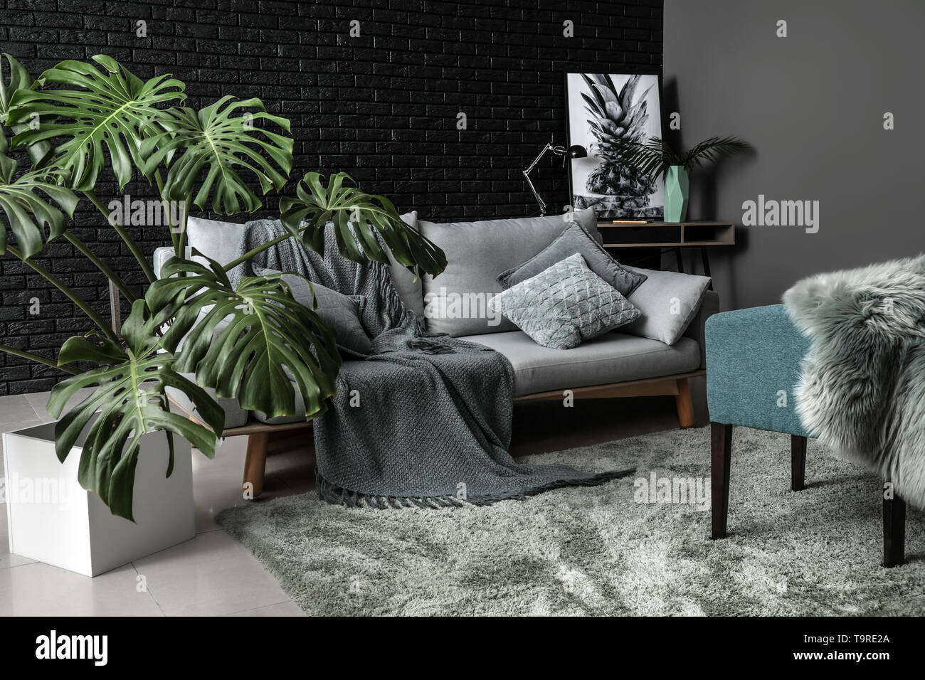 Verde di piante tropicali a interno della camera Foto Stock