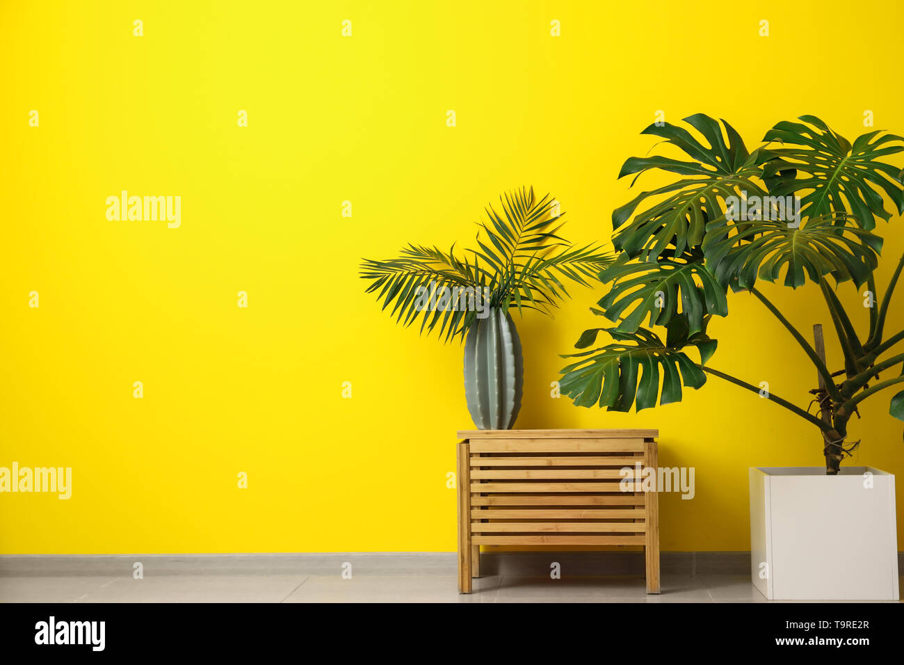 Verde di piante tropicali con un tavolo di legno vicino alla parete del colore Foto Stock