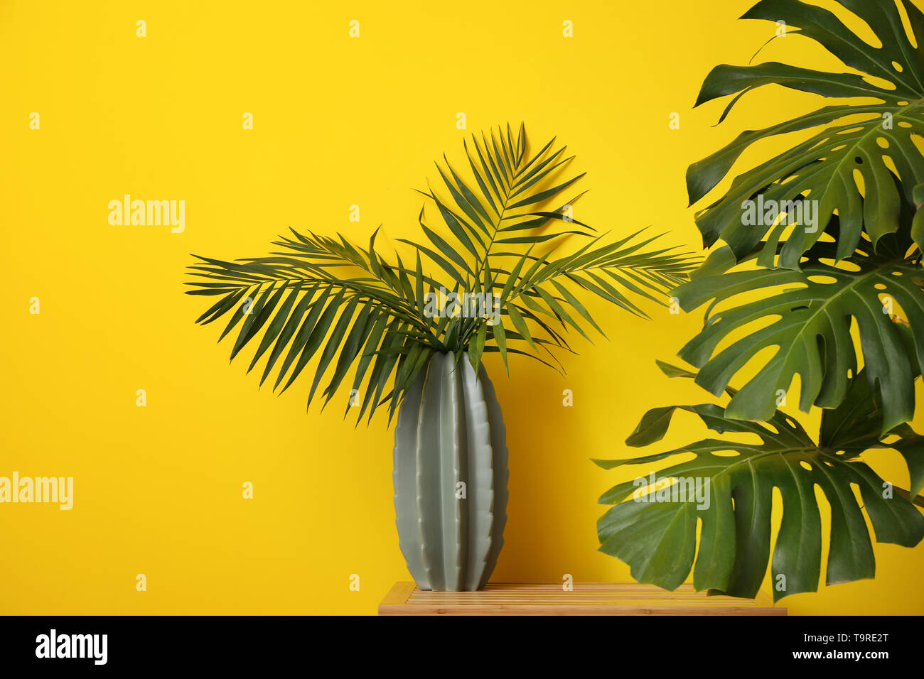 Vaso con verde tropicale, lascia sul colore di sfondo Foto Stock