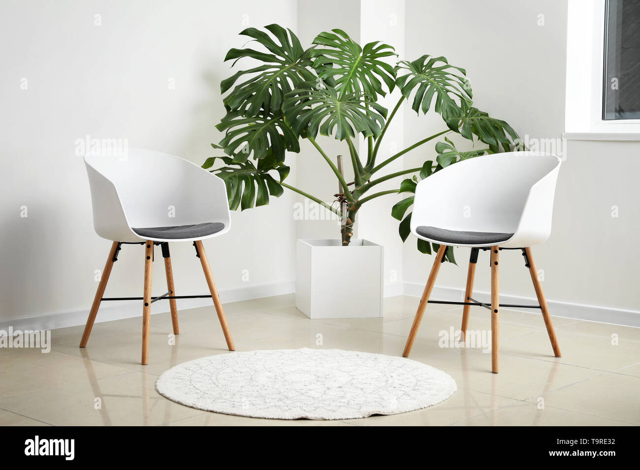 Verde di piante tropicali con sedie bianche in camera di luce Foto Stock
