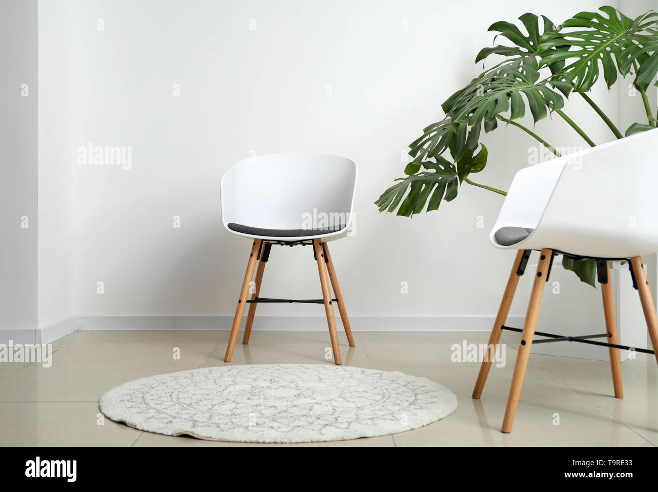 Verde di piante tropicali con sedie bianche in camera di luce Foto Stock