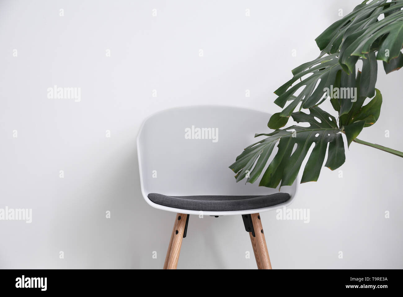 Sedia bianca con verde tropicale, lascia in su sfondo chiaro Foto Stock