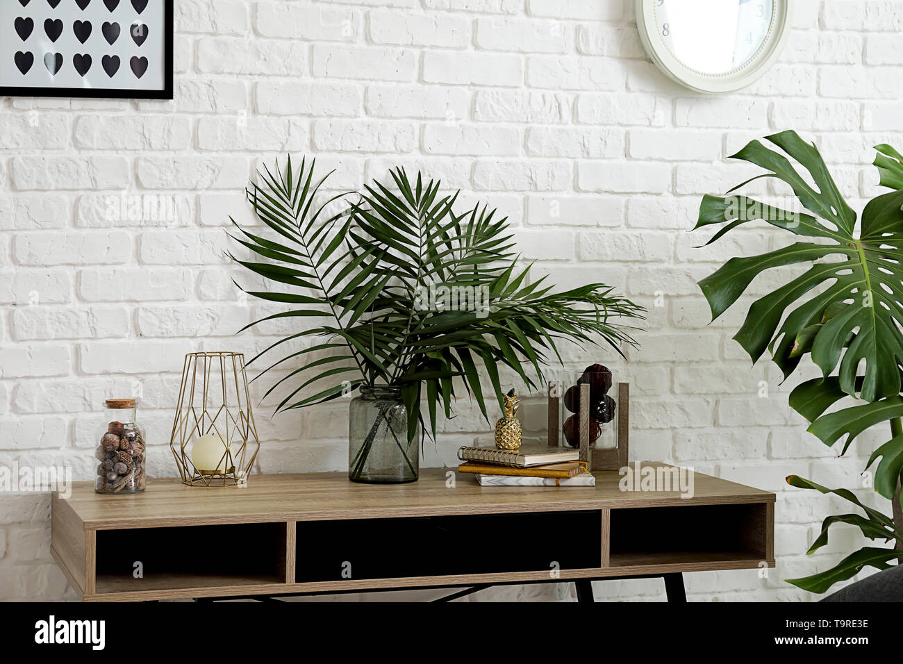 Il verde delle piante tropicali a interno della camera Foto Stock