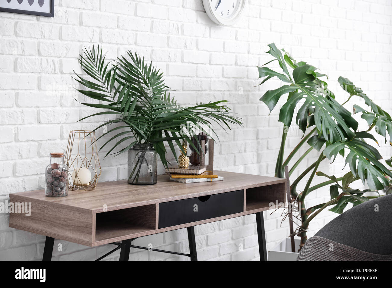 Il verde delle piante tropicali a interno della camera Foto Stock