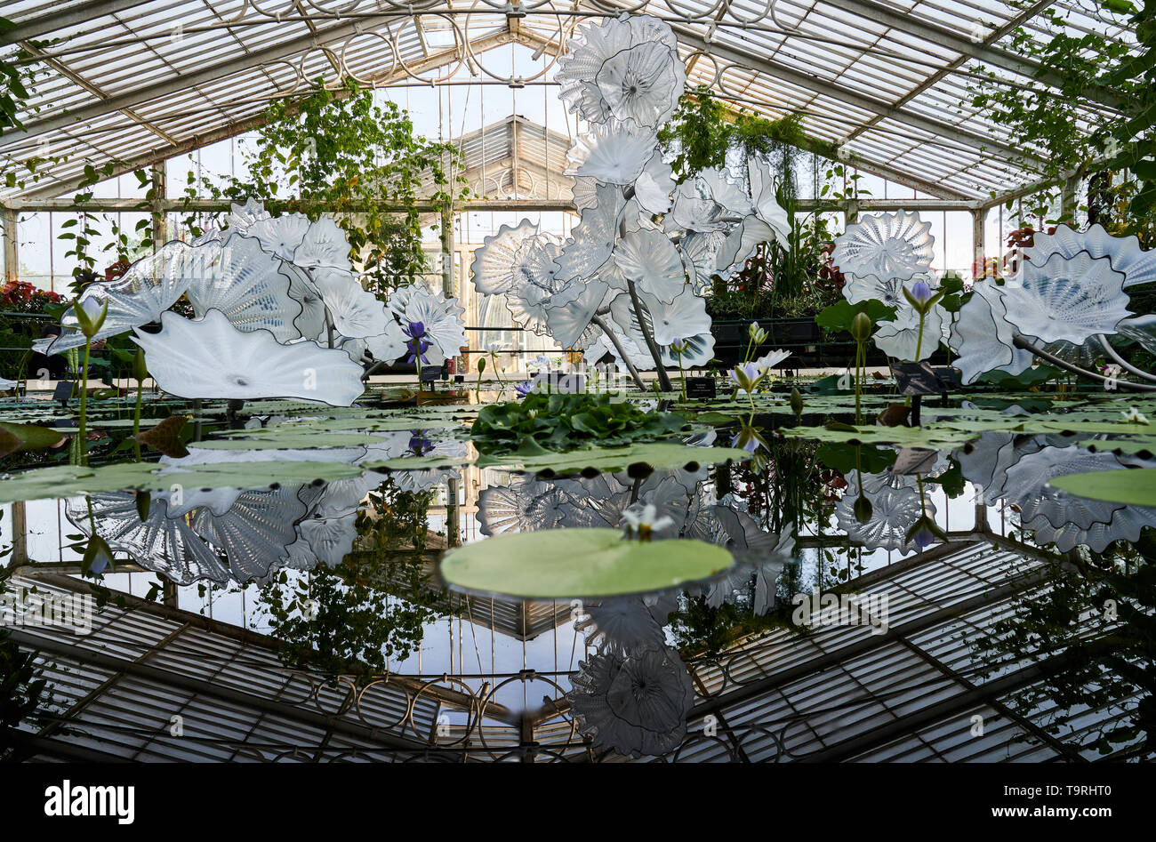 Bianco etereo persiano di stagno costituisce parte del vetro contemporaneo artista Dale Chihuly del più recente lavoro il Chihuly a Kew: riflessioni sulla natura mostra, presso i Giardini di Kew, Surrey Foto Stock