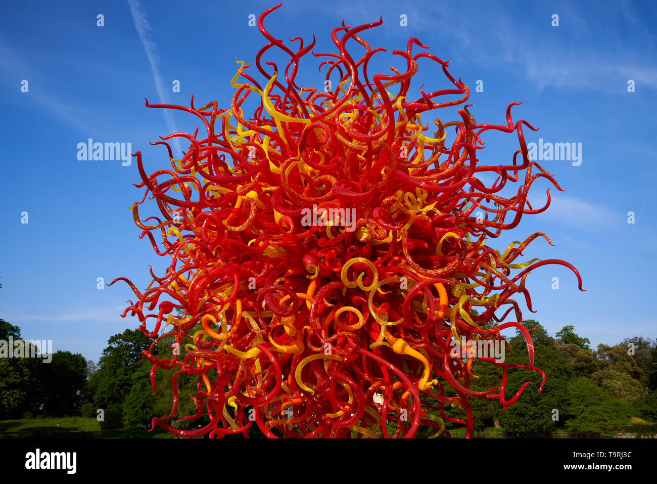 Sole estivo fa parte del vetro contemporaneo artista Dale Chihuly del più recente lavoro il Chihuly a Kew: riflessioni sulla natura mostra, presso i Giardini di Kew, Surrey Foto Stock