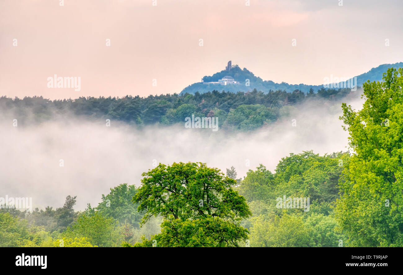Nebbia derivano da una valle dopo una serata con doccia a pioggia in primavera, vista sulla collina Drachenfels in Siebenbirge, una zona collinare paesaggio forestale in Germania Foto Stock