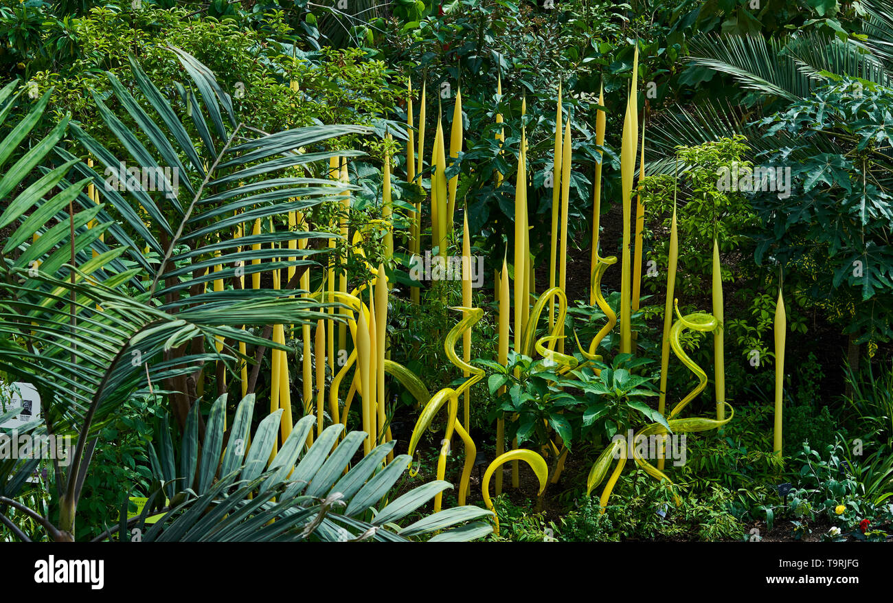 Forma parte del vetro contemporaneo artista Dale Chihuly del più recente lavoro il Chihuly a Kew: riflessioni sulla natura mostra, presso i Giardini di Kew, Surrey Foto Stock