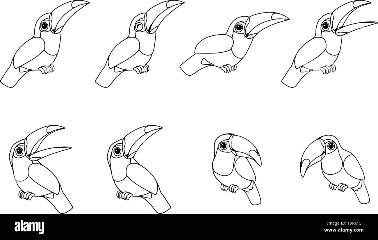 Linea del vettore animale cartoon clip art tucani toco Illustrazione Vettoriale