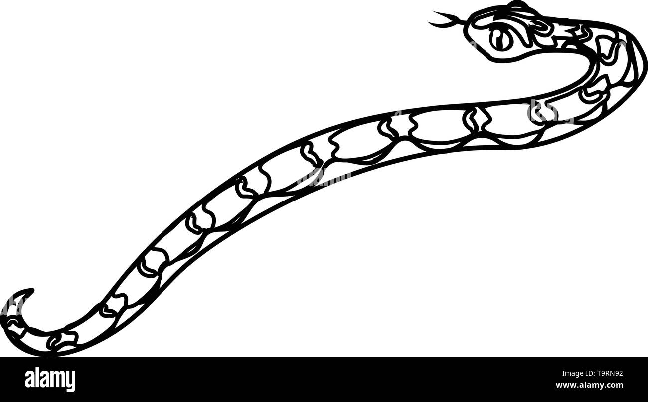 Linea del vettore animale cartoon clip art echis snake Illustrazione Vettoriale