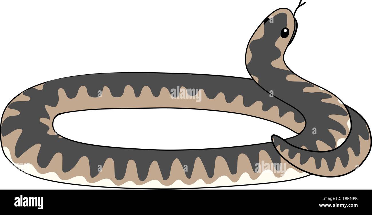 Scandi vettore animale cartoon clip art avvolto viper snake Illustrazione Vettoriale