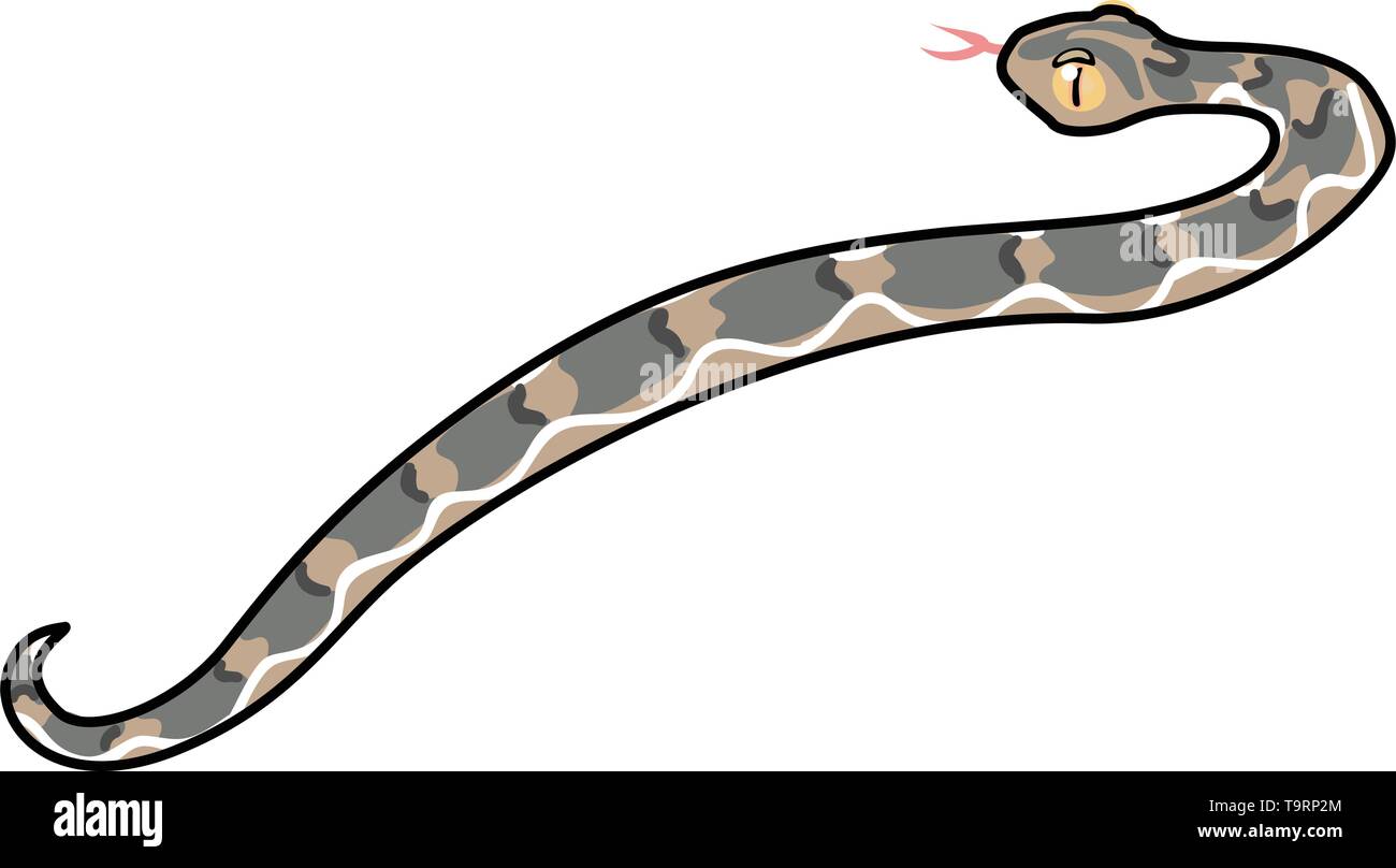 Scandi vettore animale cartoon clip art echis snake Illustrazione Vettoriale