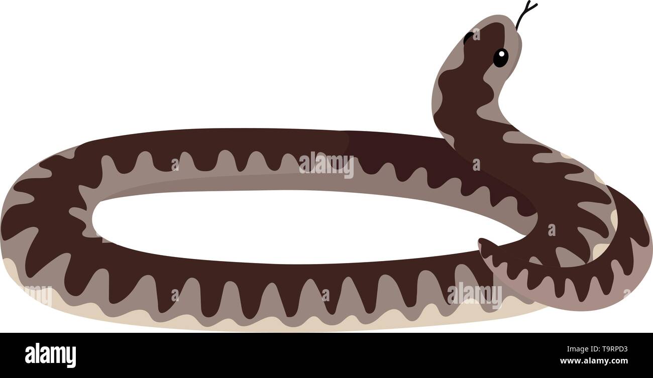 Piatto di vettore animale cartoon clip art avvolto viper snake Illustrazione Vettoriale