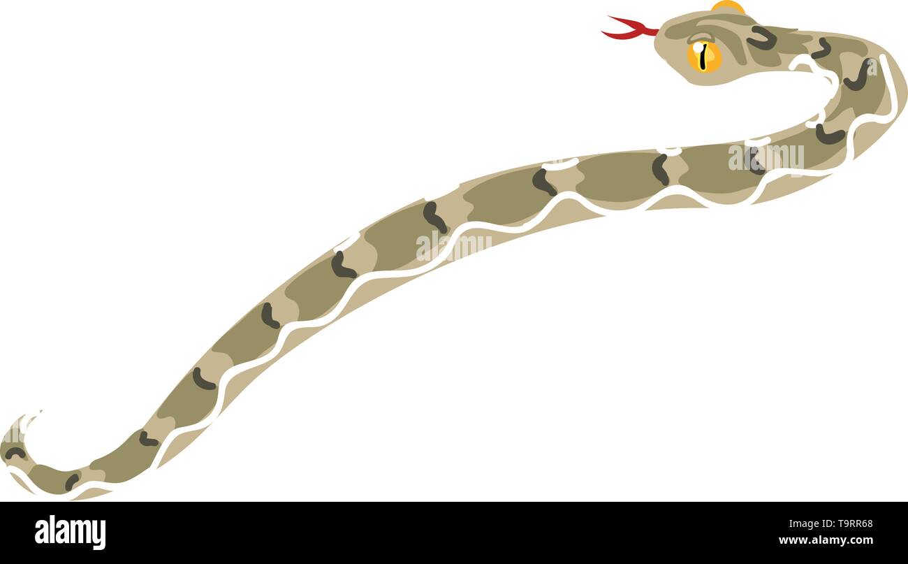 Piatto di vettore animale cartoon clip art echis snake Illustrazione Vettoriale