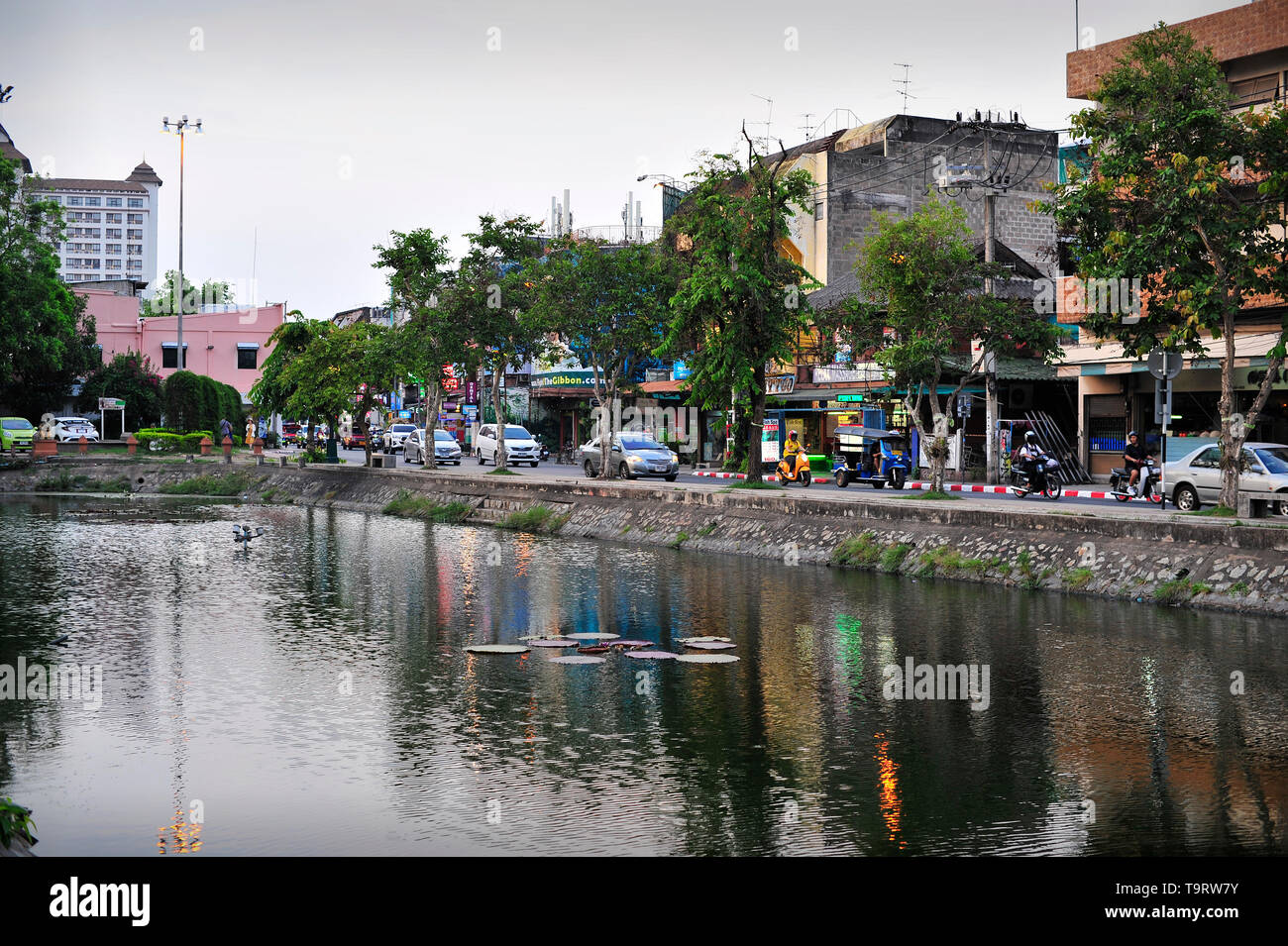 Canal a Tha Phae Gate Città vecchia di Chiang Mai Thailandia Foto Stock