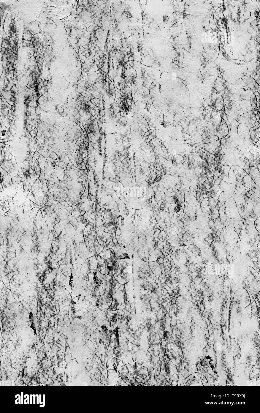 Abstract monocromatica grunge background. Texture con graffi, punti, linee di nero e di bianco. Pelle di serpente imitazione. Stampa di animale. Foto Stock