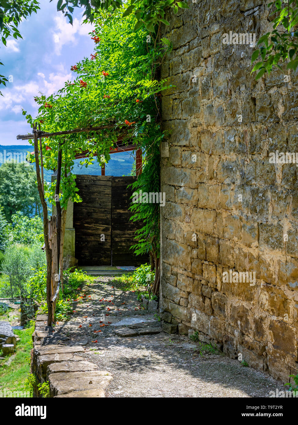 Artista il posto e il villaggio di montagna di Groznjan, Istrien, Croazia, Europa Künstlerort und Bergdorf Groznjan, Kroatien, Europa Foto Stock