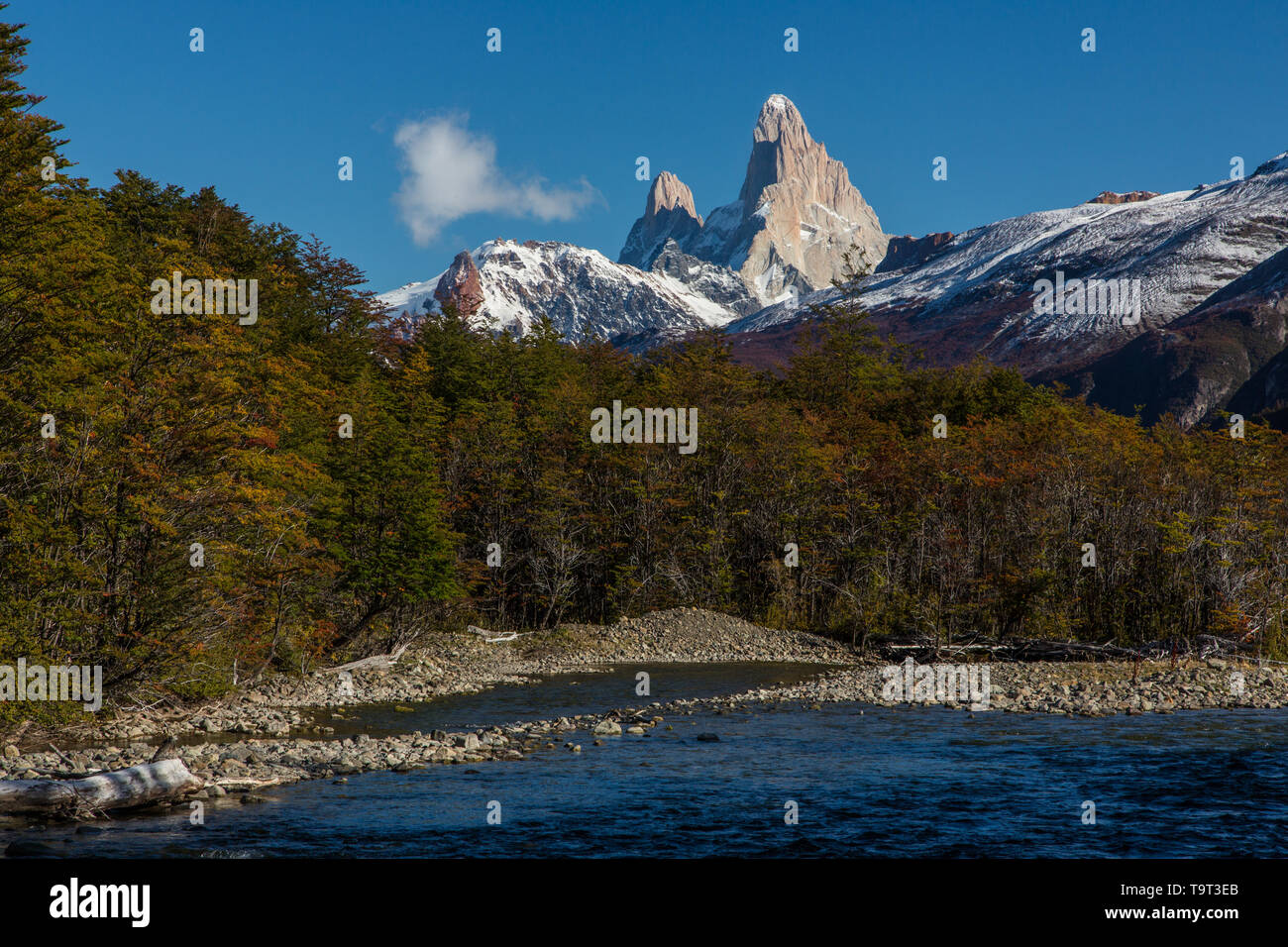 Il monte Fitz Roy e Cerro Poincenot nel parco nazionale Los Glaciares, come visto da nord di El Chalten, Argentina, in Patagonia regione del Sud Ameri Foto Stock