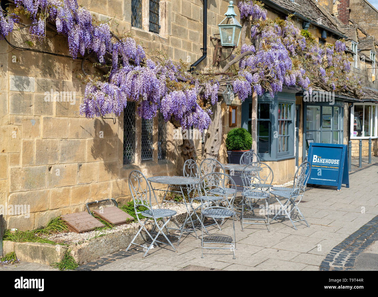 Il Glicine su un cotswold cottage in pietra e il bistro. Broadway, Cotswolds, Worcestershire, Inghilterra Foto Stock