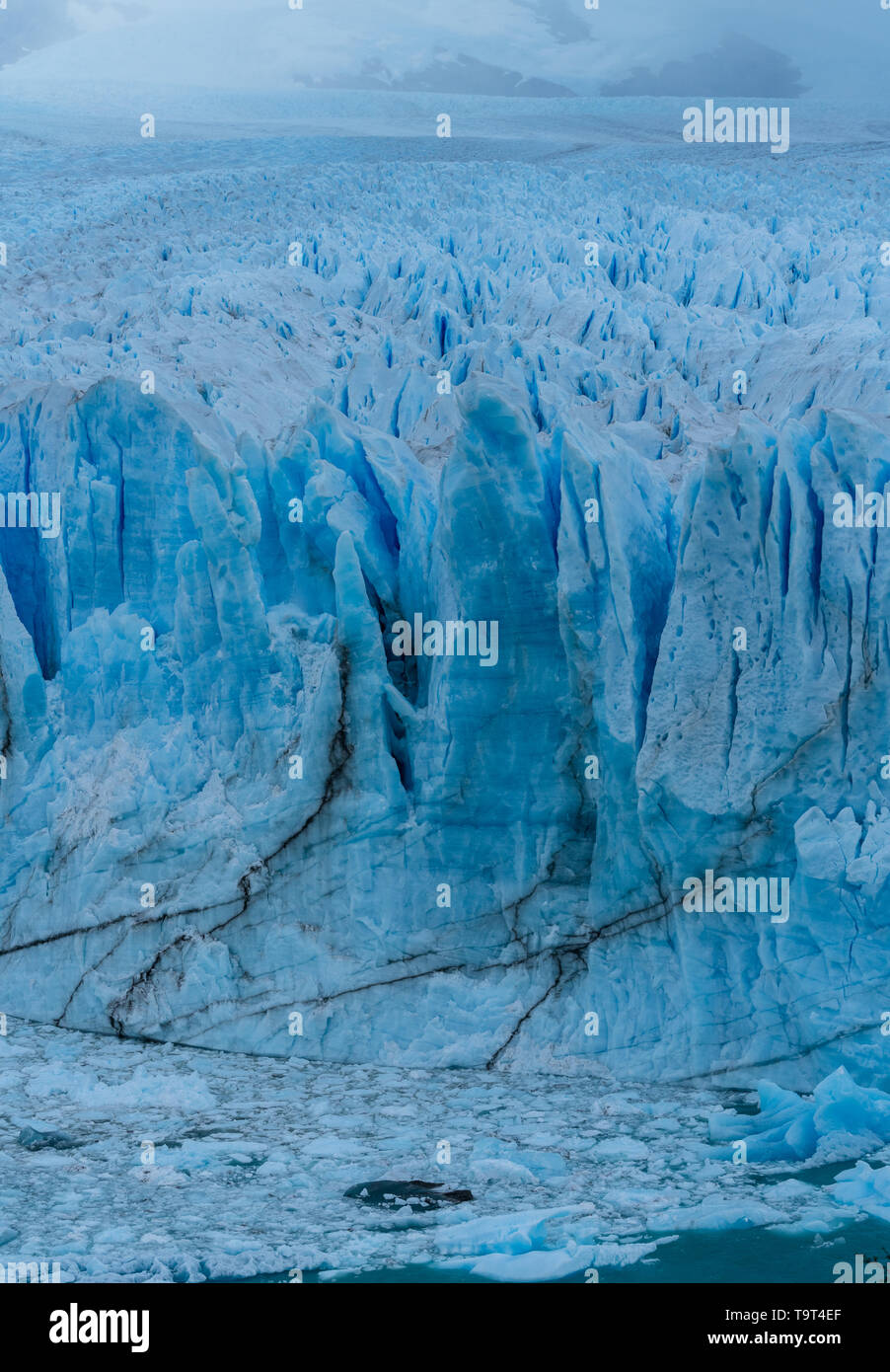 Dettaglio Immagini del Ghiacciaio Perito Moreno nel parco nazionale Los Glaciares nella regione di Patagonia Argentina, sulla punta meridionale del Sud America. Foto Stock