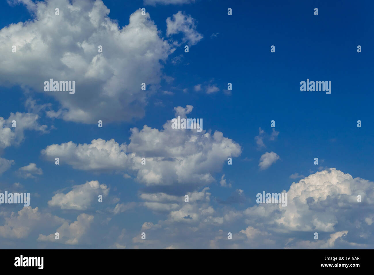 Cumuluswolken nel cielo blu, Cumuluswolken am blauen Himmel Foto Stock