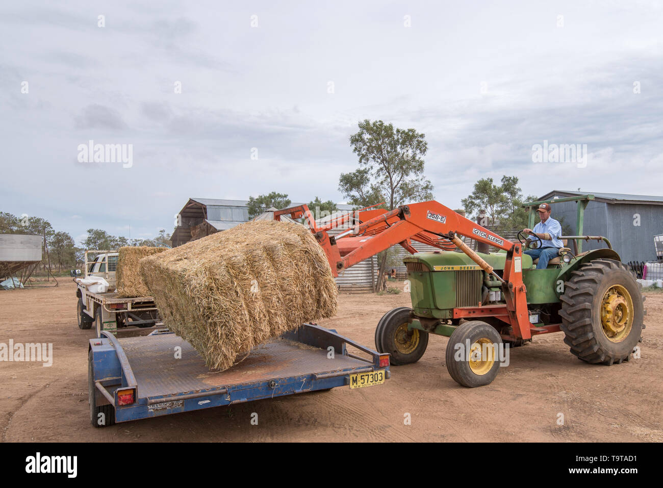 Maggio 2019 Burren Junction, Aust: agricoltore, Richard carichi di Marshall una grande balla di fieno per mano di alimentazione rimanente del suo gregge di ovini durante la siccità. Foto Stock