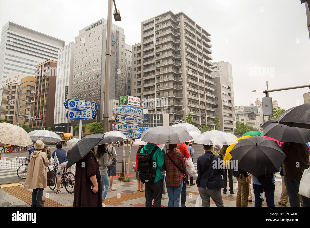 Le persone sono in attesa per la luce verde sulla Harumi-dori Ave. nella parte moderna di Tokyo, Giappone. Foto Stock