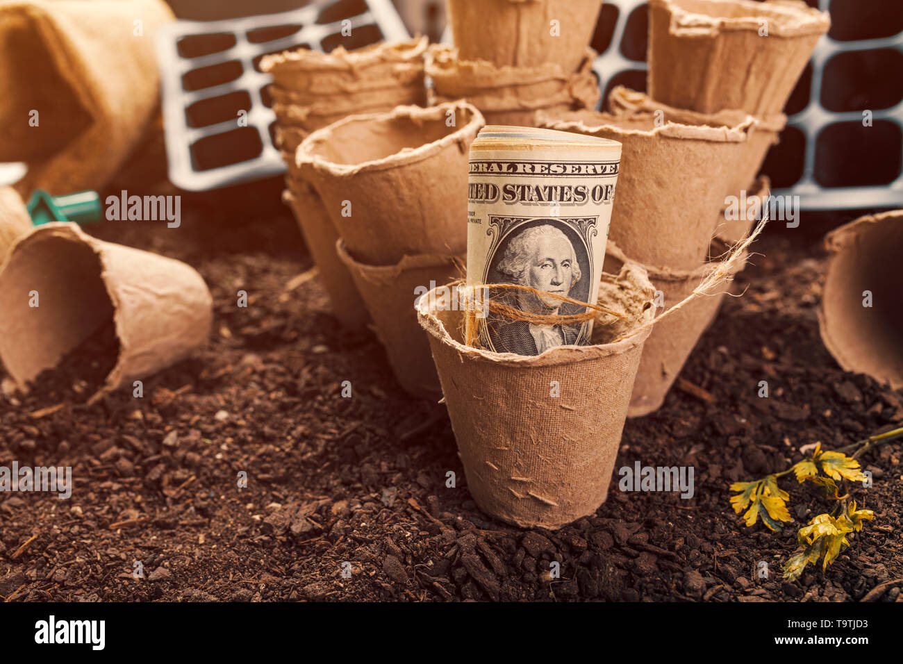 Torba biodegradabile pot contenitori del suolo e del dollaro banconote, rendendo il denaro e il profitto in coltivati localmente la produzione organica di prodotti alimentari Foto Stock