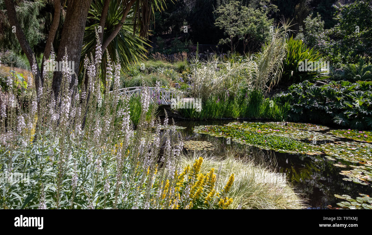 Royal Botanical Gardens, Hobart, Tasmania Foto Stock