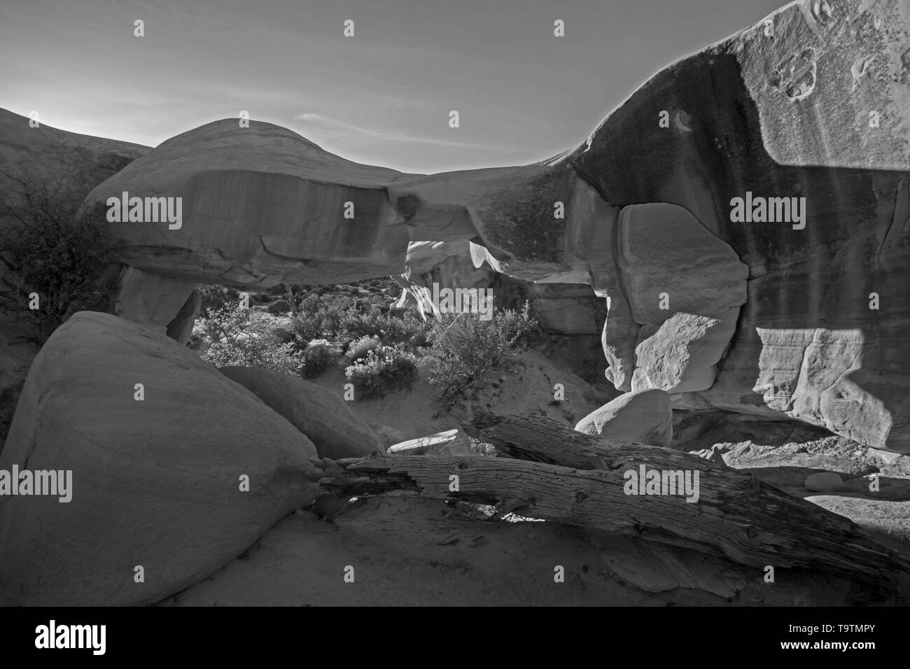 Giardino del Diavolo Escalante monocromatico Foto Stock