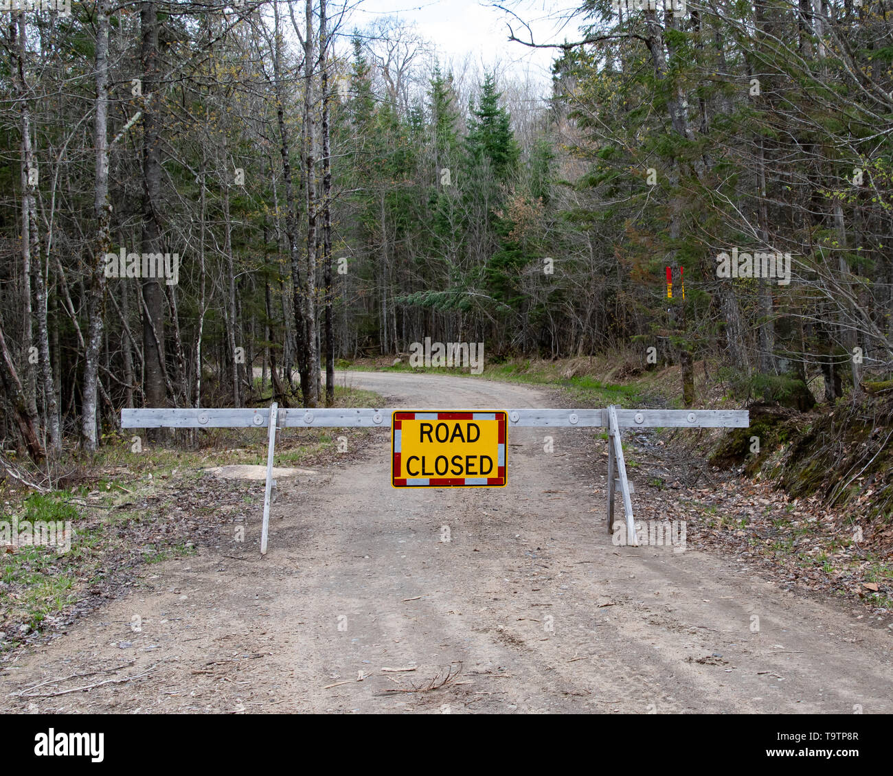 Una strada chiusa segno su una sega di legno cavallo su una strada sterrata in Montagne Adirondack, deserto, NY, STATI UNITI D'AMERICA Foto Stock