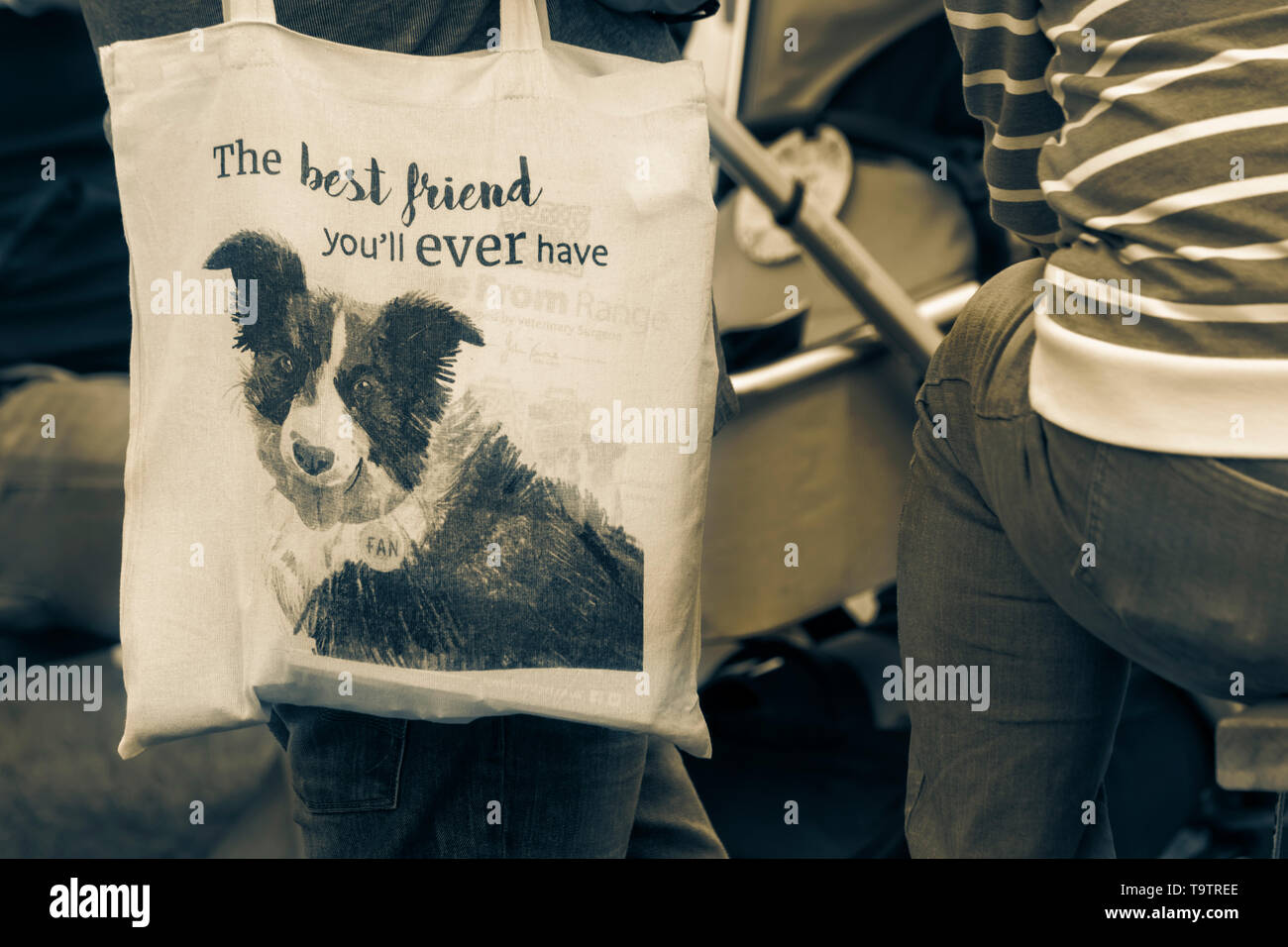 Il migliore amico che mai avrete - cane sul sacchetto a Dogstival, Pylewell Park Station Wagon, Lymington, New Forest, Regno Unito nel mese di maggio Foto Stock