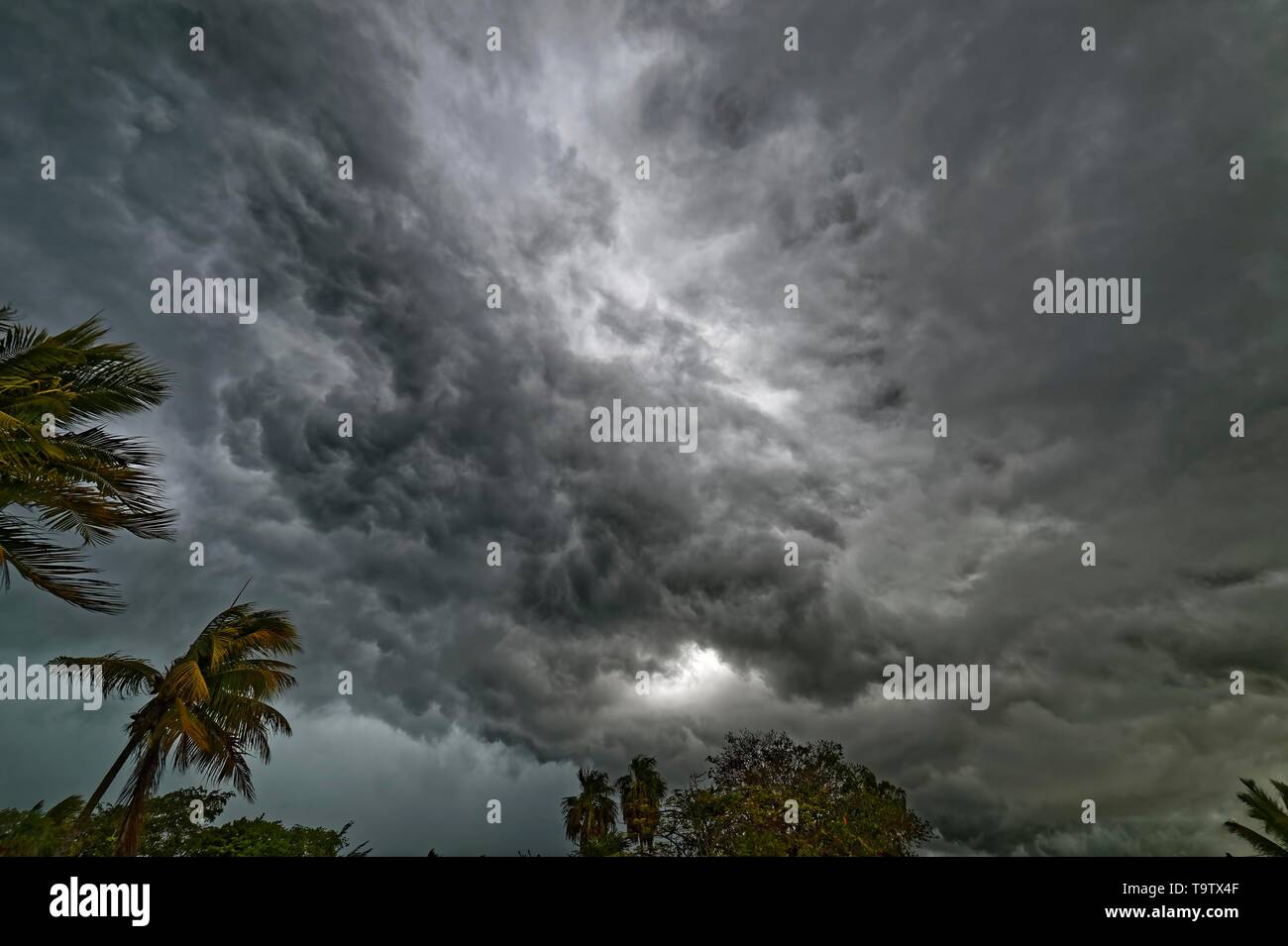 Nuvole scure a tempesta tropicale, Corozal district, Belize Foto Stock