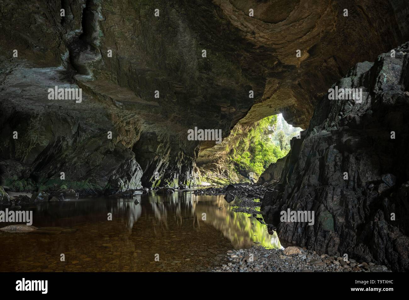 Oparara Arch, calcare naturale tunnel, rock arco sul fiume Oparara, Oparara bacino, Kahurangi National Park, Karamea, Costa Occidentale Regione Sud Foto Stock