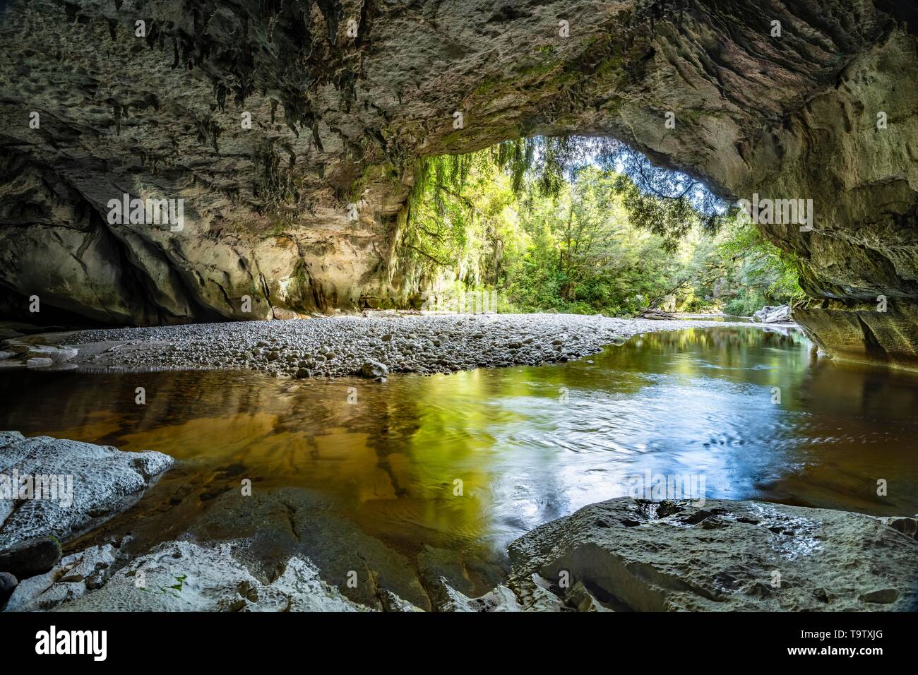 Cancello di Moria Arch, calcare naturale tunnel, rock arco sul fiume Oparara, Oparara bacino, Kahurangi National Park, Karamea, Costa Occidentale Regione Sud Foto Stock