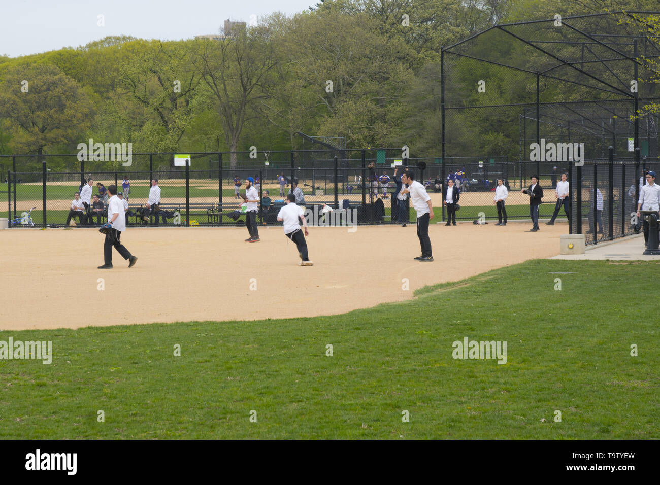 Ebrea ortodossa ragazzi giocare a baseball a Prospect Park indossando le loro uniformi riconoscibile di pantaloni neri e camicie bianche. Brooklyn, New York. Foto Stock