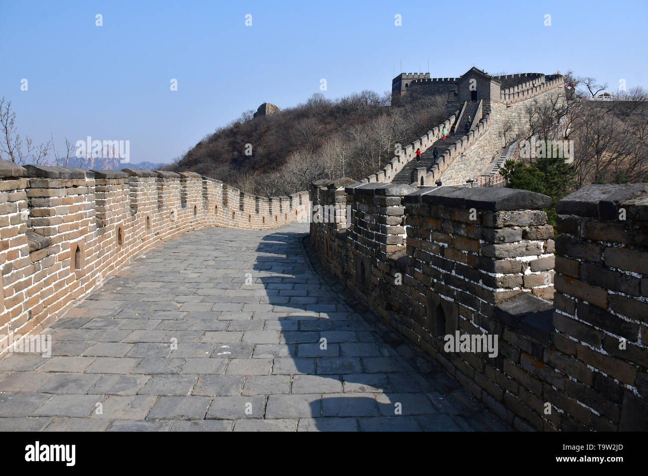 Mu Tian Yu, Mutianyu, Mùtiányù, la Grande Muraglia, Wànlǐ Chángchéng, Beijing, Pechino, Cina, Asia, Patrimonio Mondiale dell UNESCO Foto Stock