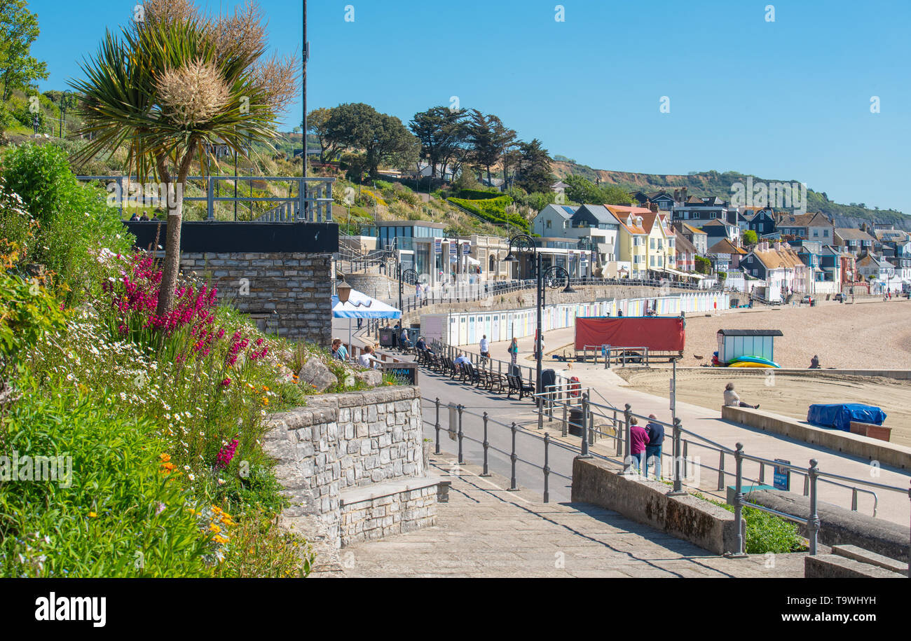 Lyme Regis, Dorset, Regno Unito. 21 maggio 2019. Regno Unito Meteo: una bella mattina di sole caldo e luminoso blu del cielo alla stazione balneare di Lyme Regis. I visitatori potranno gustarsi il glorioso tempo soleggiato che è impostata per continuare per il resto della settimana. Credito: Celia McMahon/Alamy Live News. Foto Stock