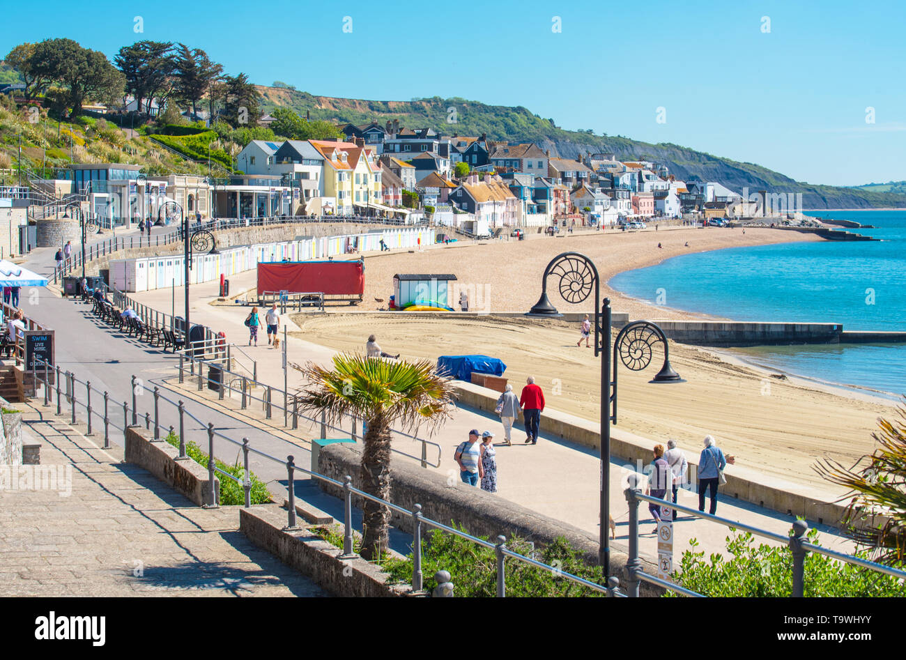 Lyme Regis, Dorset, Regno Unito. 21 maggio 2019. Regno Unito Meteo: una bella mattina di sole caldo e luminoso blu del cielo alla stazione balneare di Lyme Regis. I visitatori potranno gustarsi il glorioso tempo soleggiato che è impostata per continuare per il resto della settimana. Credito: Celia McMahon/Alamy Live News. Foto Stock