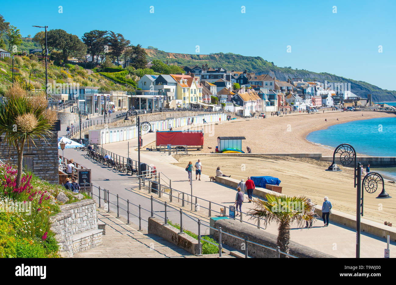 Lyme Regis, Dorset, Regno Unito. 21 maggio 2019. Regno Unito Meteo: una bella mattina di sole caldo e luminoso blu del cielo alla stazione balneare di Lyme Regis. I visitatori potranno gustarsi il glorioso tempo soleggiato che è impostata per continuare per il resto della settimana. Credito: Celia McMahon/Alamy Live News. Foto Stock